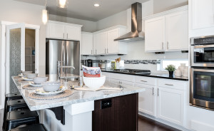 Elegant and Modern Kithen
